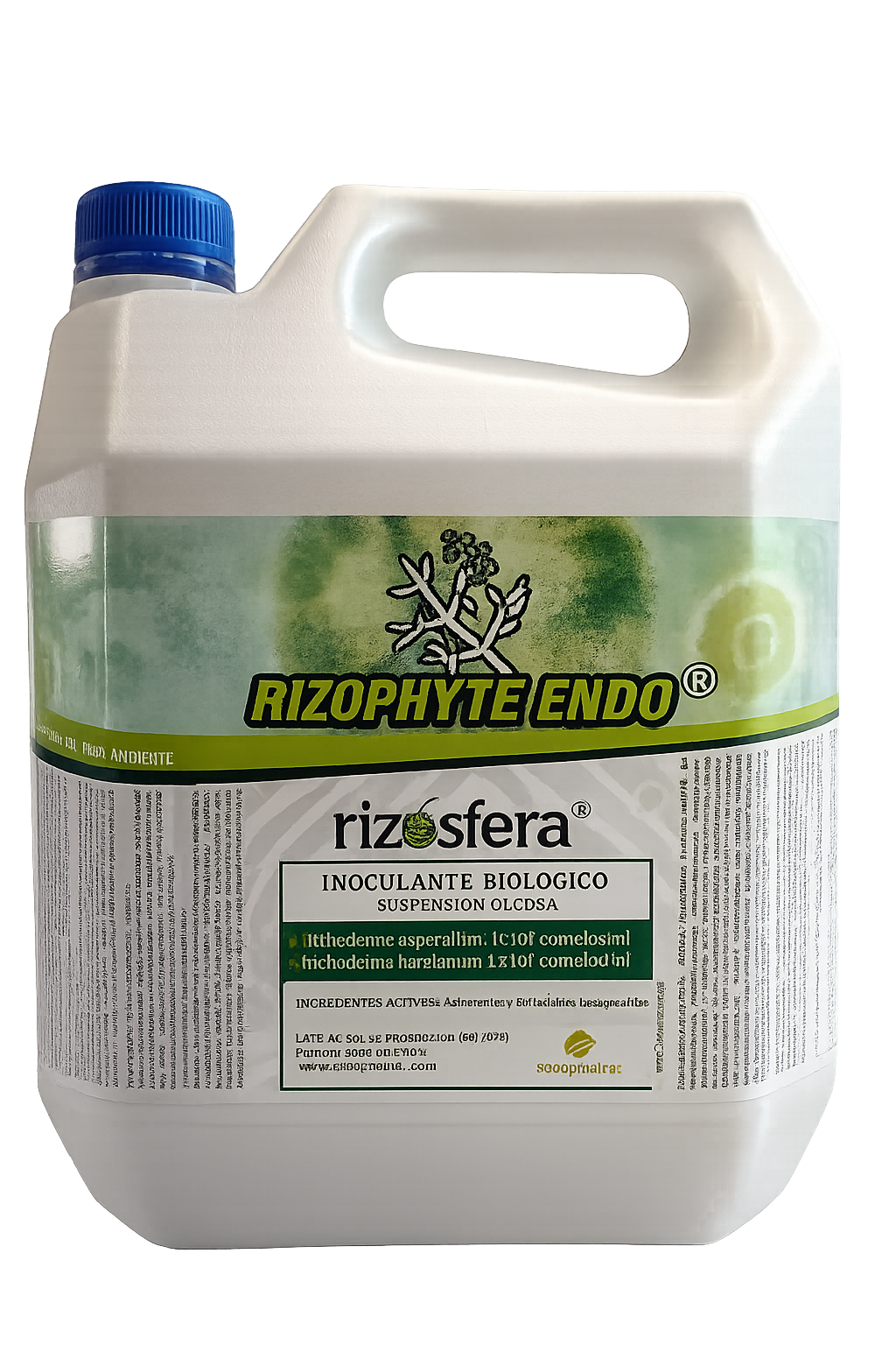 RizophyteEndo