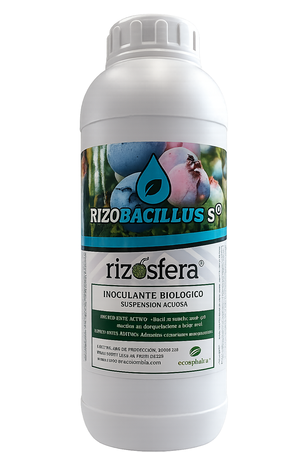 RhizobacillusS